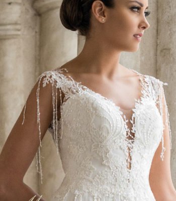 AMBROSIA – MS Moda