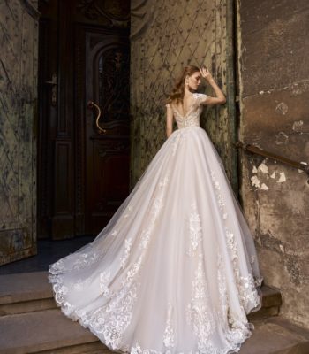 Maxima – 2119