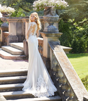 2027-Mori Lee